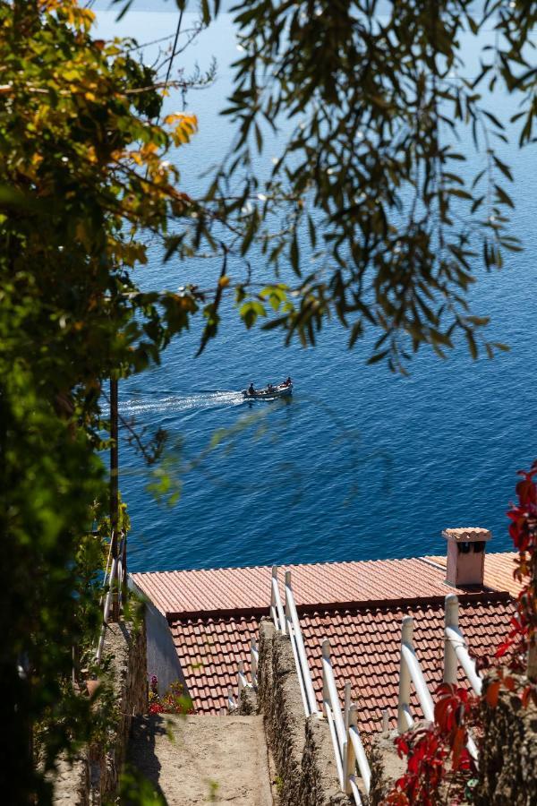 Villa Horizon Stanici Dış mekan fotoğraf